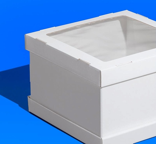 FORGENIKA STRONG_окно_016.jpg