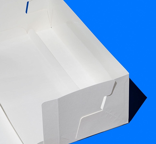 FORGENIKA CAKE ROLL_ложемент и констуркция_463.jpg