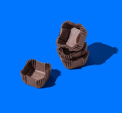 FORGENIKA_CAPSULE Q B_1153 1.jpg