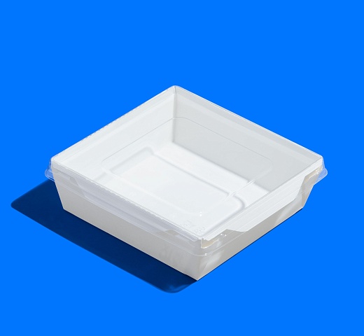 FORGENIKA OPSALAD 900_3125.jpg