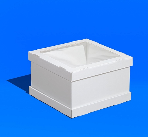 FORGENIKA STRONG W W 300х300х200_041 (1) (1).jpg