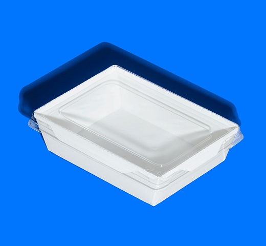 FORGENIKA OPSALAD 500_3219.jpg