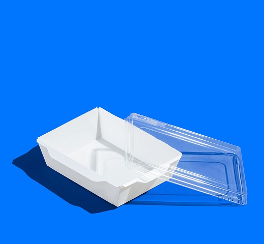 FORGENIKA OPSALAD 500_3227.jpg