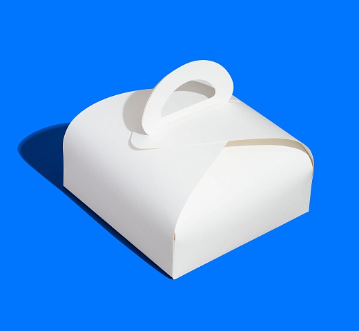 FORGENIKA LADY 220х220х120_2074.jpg