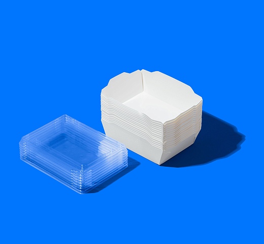 FORGENIKA OPSALAD_3210.jpg