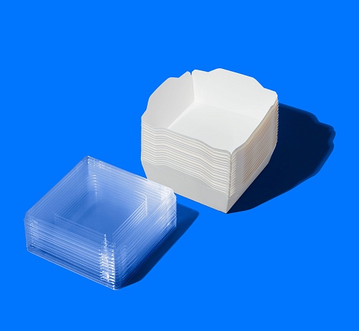 FORGENIKA OPSALAD_3115.jpg