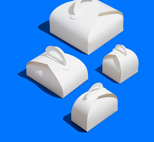 FORGENIKA LADY_2082.jpg