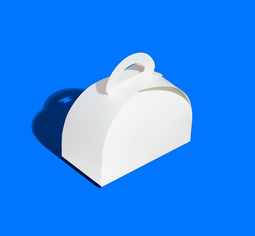 FORGENIKA LADY 160х80х100_2072.jpg