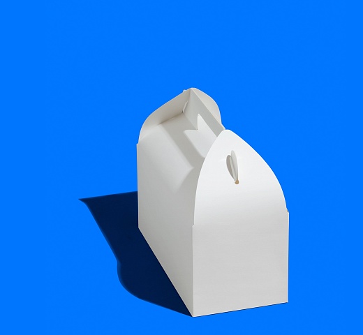 FORGENIKA HANDLE DOM_1730.jpg