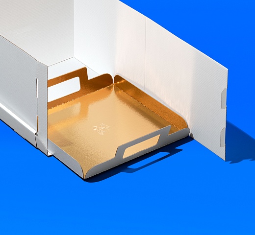 FORGENIKA STRONG_поднос_121.jpg