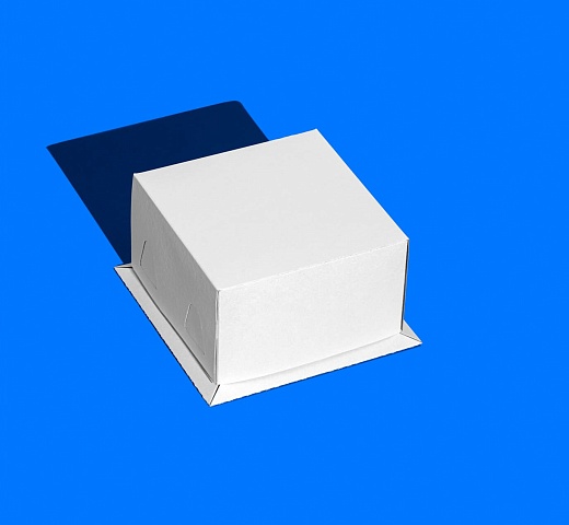 FORGENIKA CHROM W 170x170x100_252.jpg