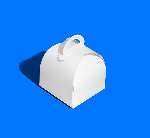 FORGENIKA LADY 100х100х100_2071.jpg