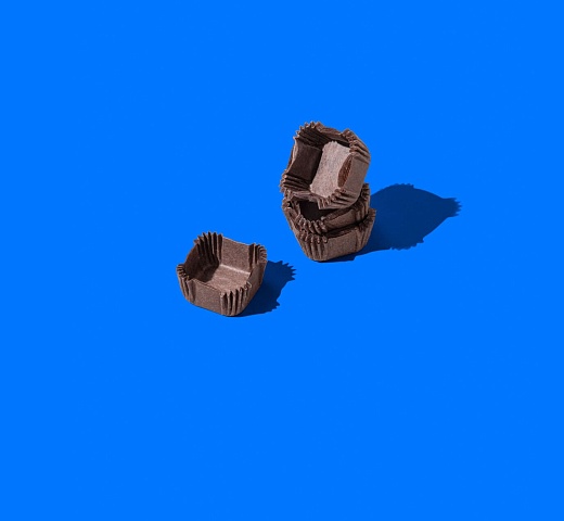 FORGENIKA_CAPSULE Q B_1153.jpg