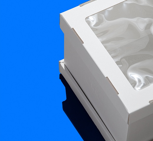 FORGENIKA STRONG_окно-204.jpg