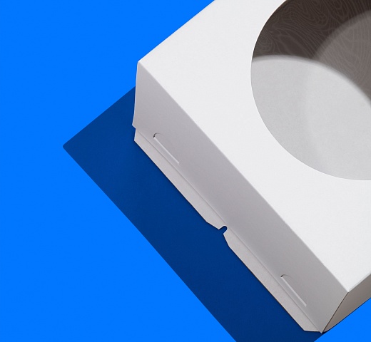 FORGENIKA STANDARD_окно_300.jpg