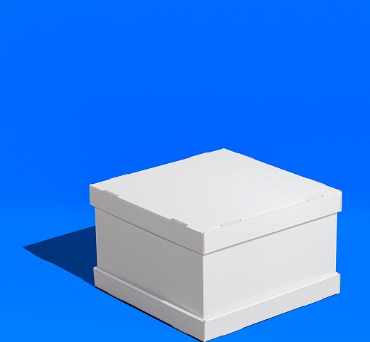 FORGENIKA STRONG W 300х300х200_060 (3) (1) (1).jpg