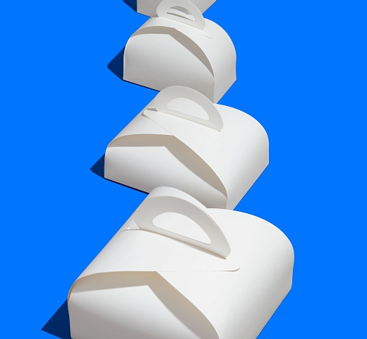 FORGENIKA LADY_2088.jpg