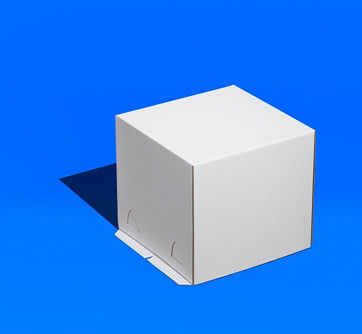 FORGENIKA STANDARD W 240x240x220_319.jpg